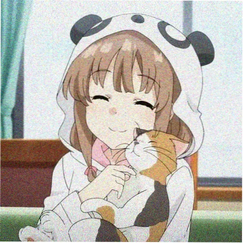 光影笔记头像